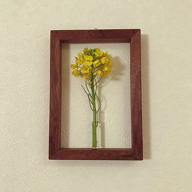 belle_roomさんの実例写真