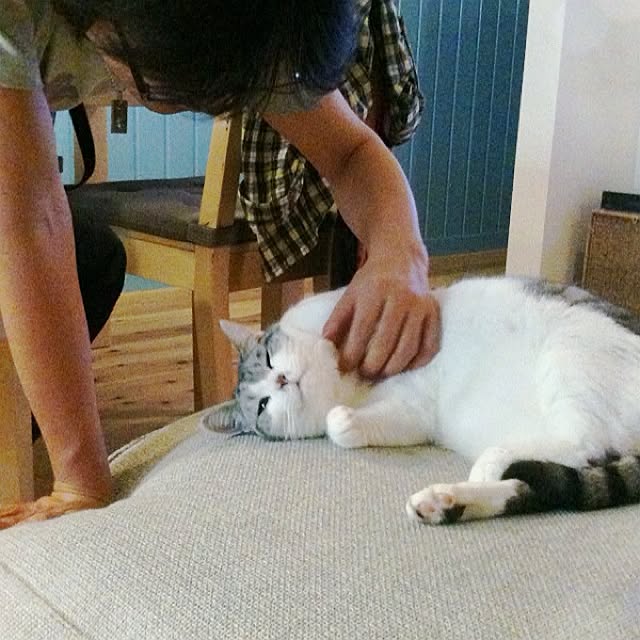 Tomo3さんの実例写真