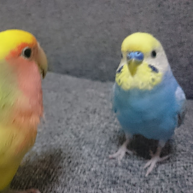 u-meさんの実例写真