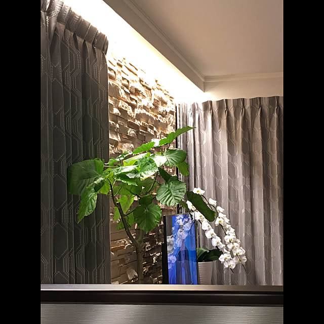 tigerさんの実例写真