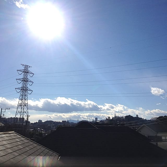 dicekbeetleさんの実例写真