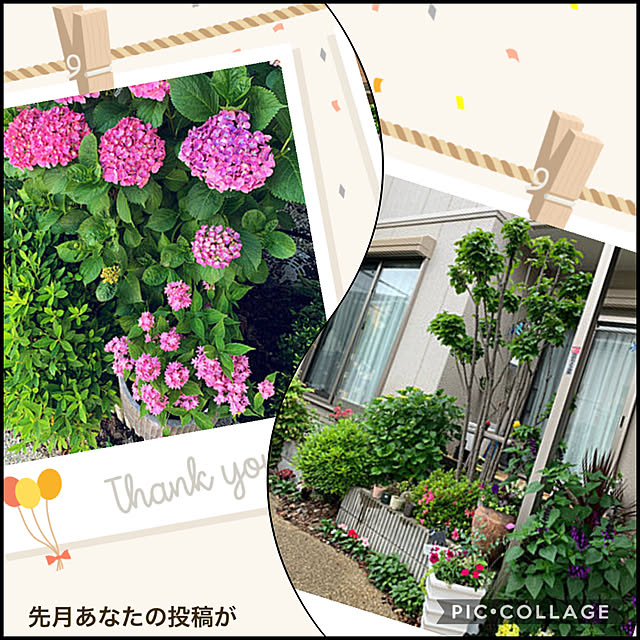yukarin-gardenさんの実例写真