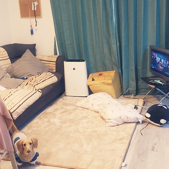Ayumiさんの実例写真