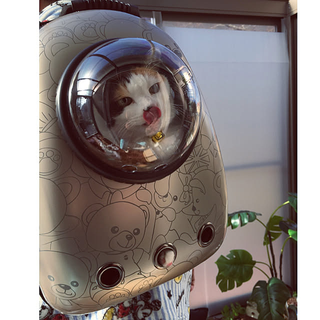 necomuraさんの実例写真