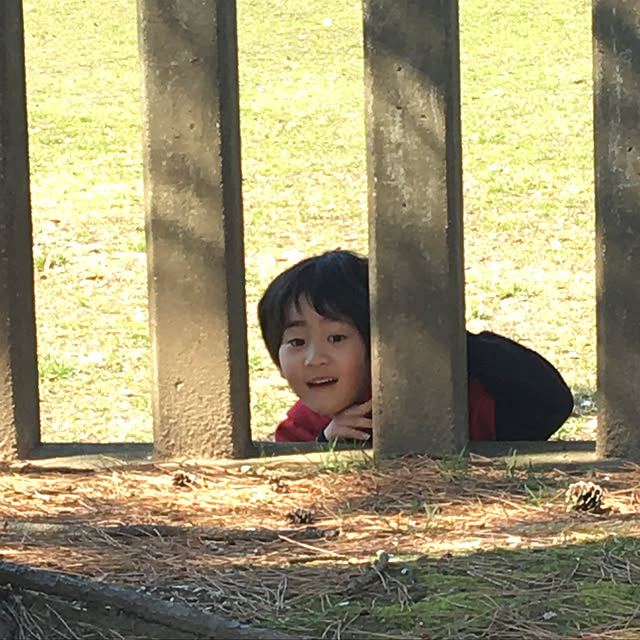 ohanaさんの実例写真