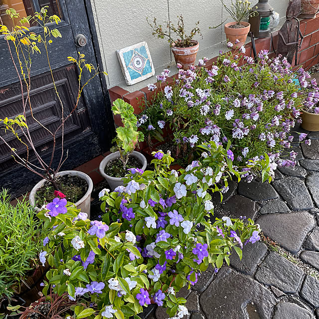 shin0719さんの部屋