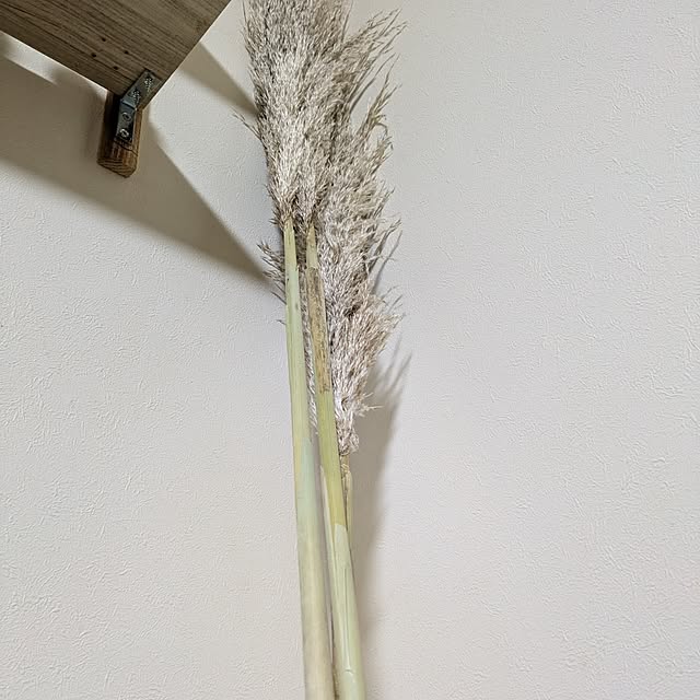 asaさんの実例写真