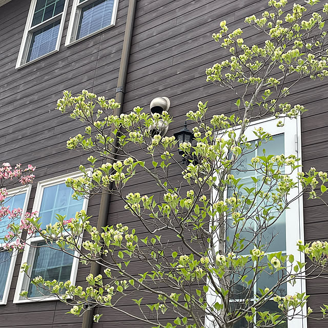 Andaluciaさんの部屋