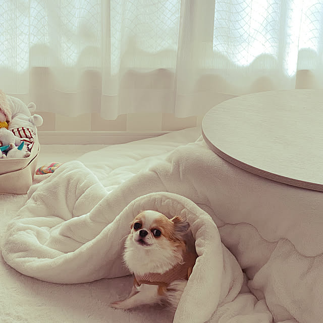 hiraさんの実例写真