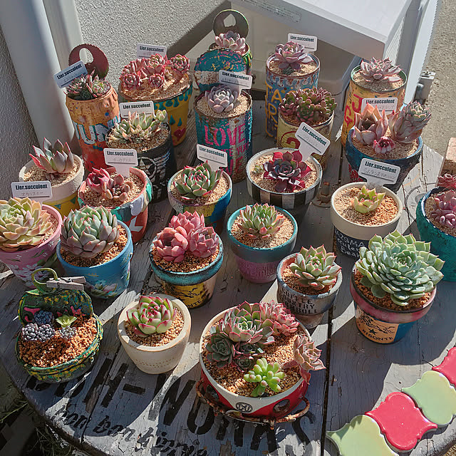 bon-bon-hippieさんの実例写真