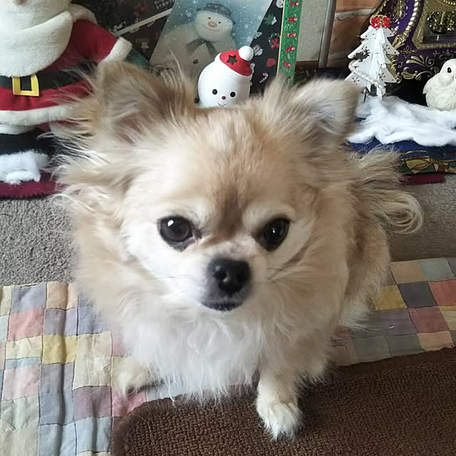 kiraさんの実例写真