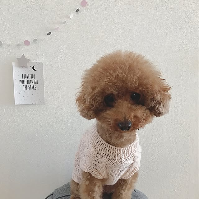 saooo39さんの実例写真