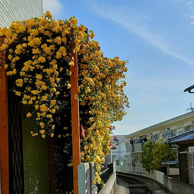 mori_6_12さんの部屋