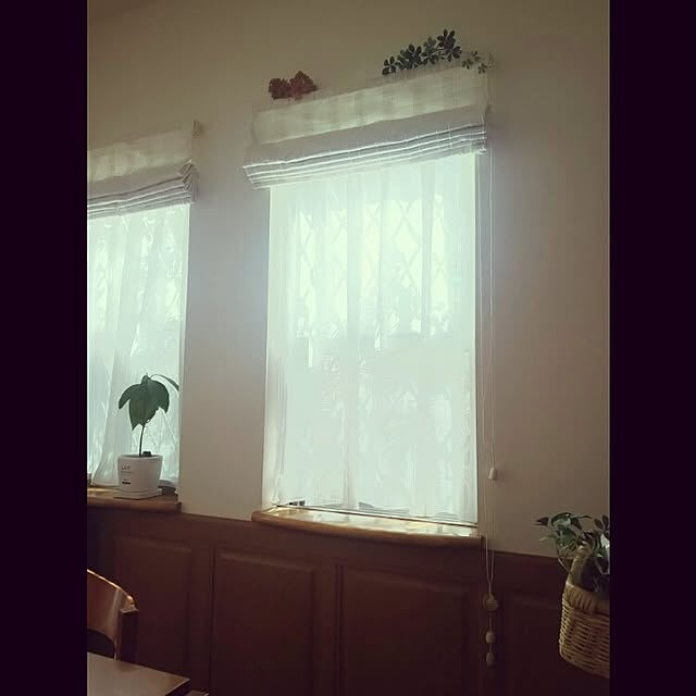 Yumikoさんの実例写真