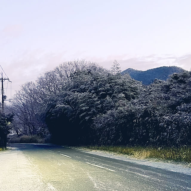 cota2さんの部屋