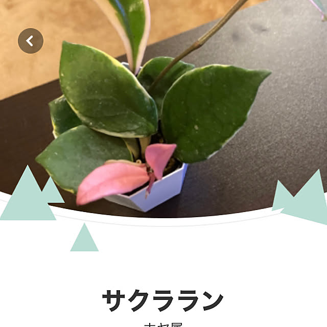 reeさんの実例写真