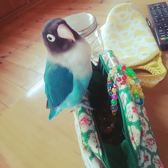 marukoさんの実例写真