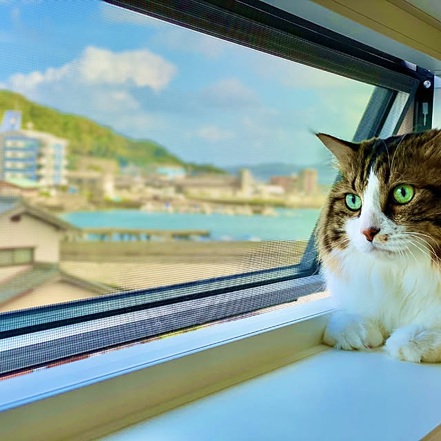 romeoさんの実例写真