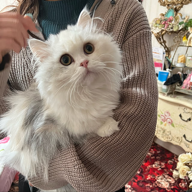 AYUKOさんの実例写真