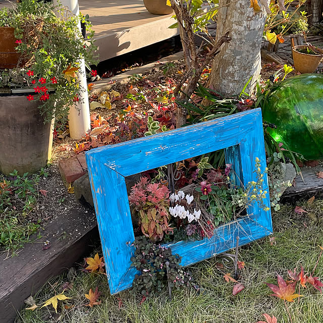 nobikoさんの部屋