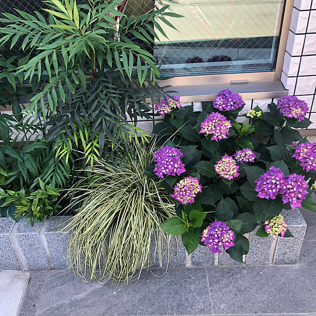 Rororiさんの実例写真