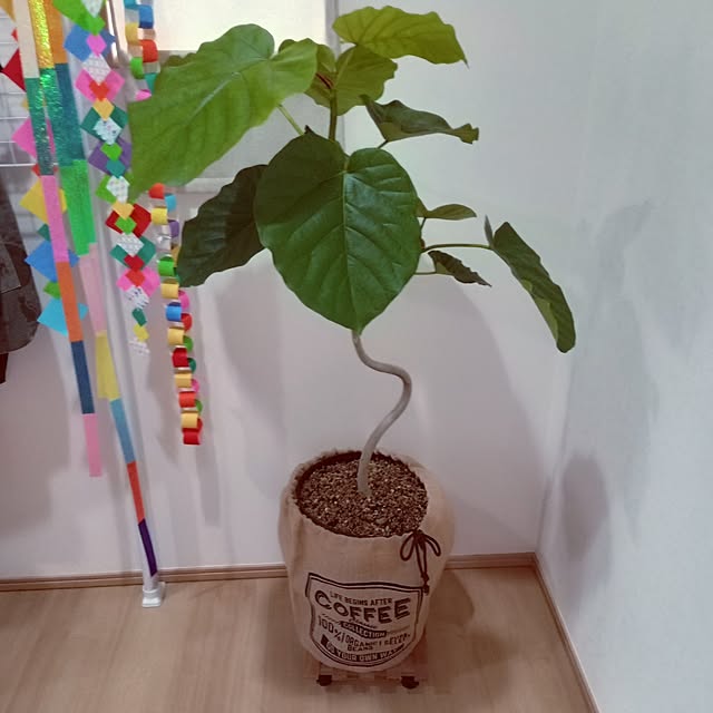 mocomocoさんの部屋