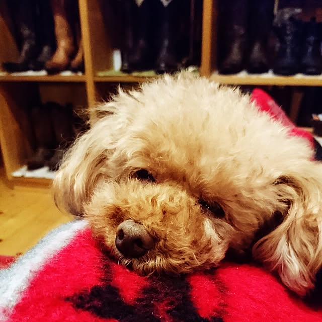 ryosukeさんの実例写真