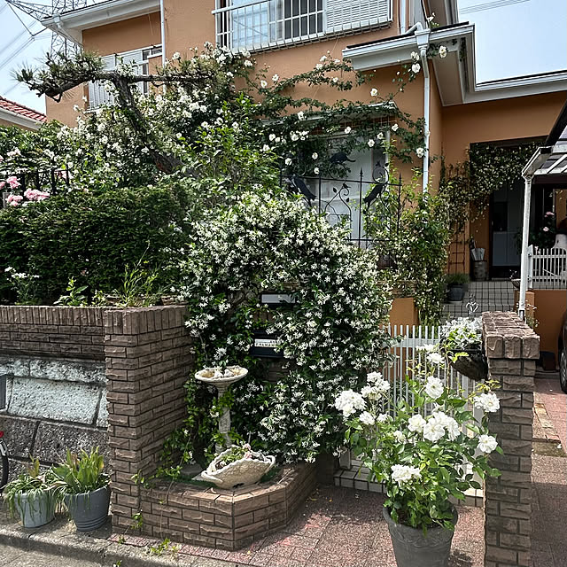 adamoさんの部屋