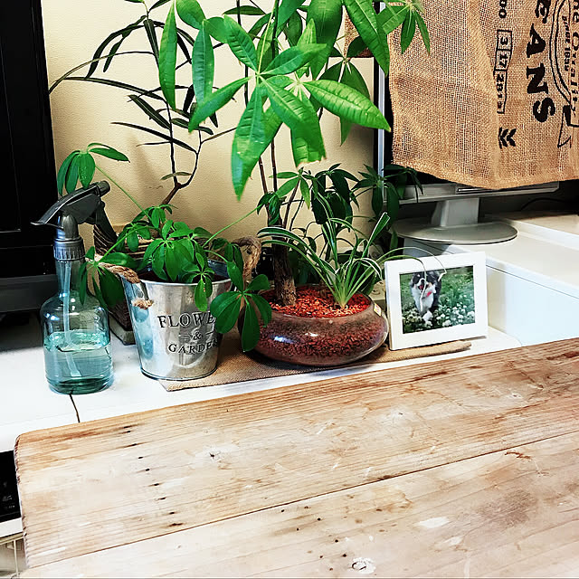 暮らしの一コマ/雑貨/観葉植物/IKEA/100均...などのインテリア実例 - 2018-06-27 17:25:12