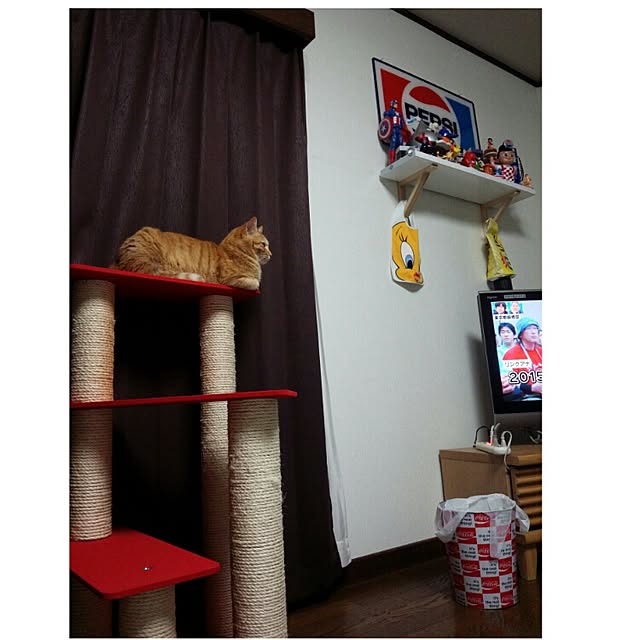 taroさんの実例写真