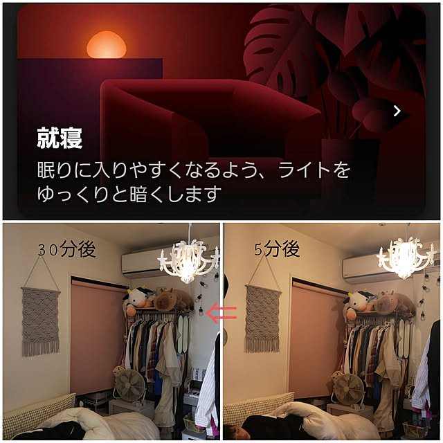puritan_rさんの実例写真