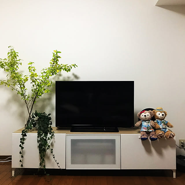 puriさんの実例写真