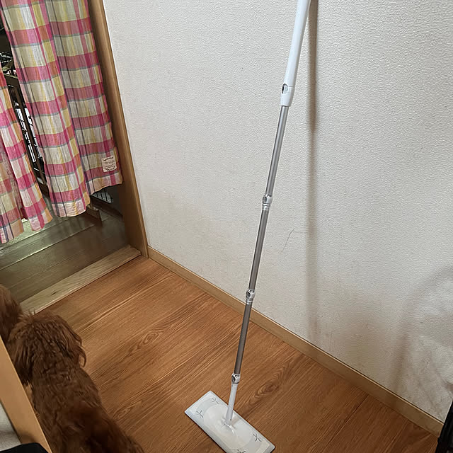 momoさんの部屋