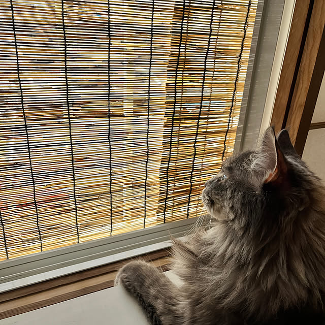 mayumiさんの部屋