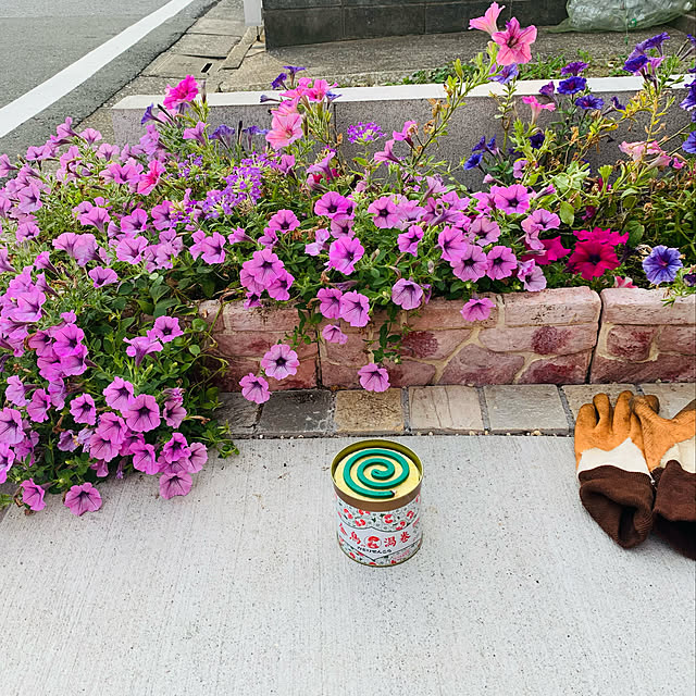 masaさんの実例写真