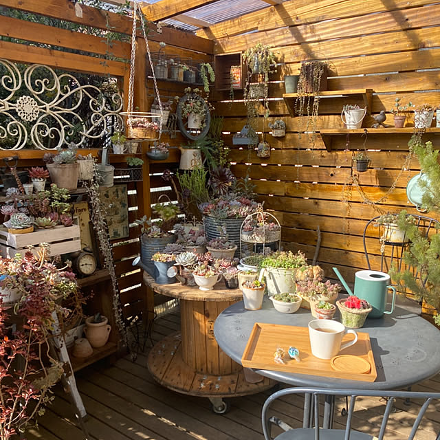 mintteaさんの部屋