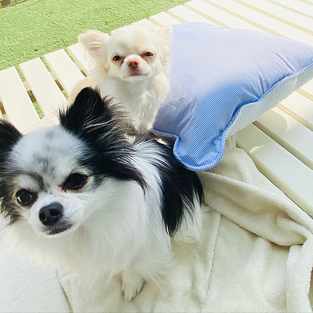 marrococoさんの実例写真