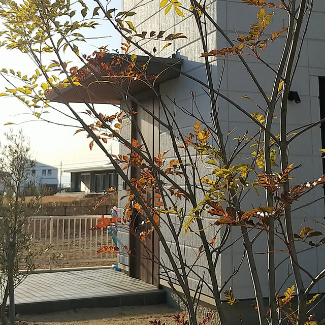 a-yaaaさんの実例写真