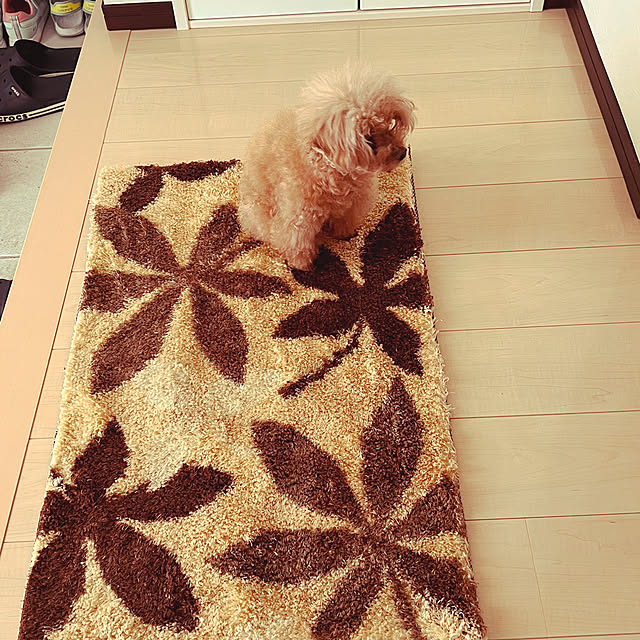 cocoaさんの実例写真
