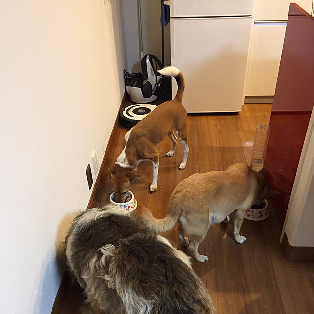 shizuさんの実例写真