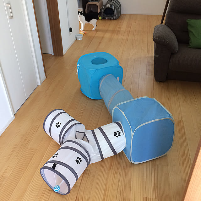 aruさんの実例写真
