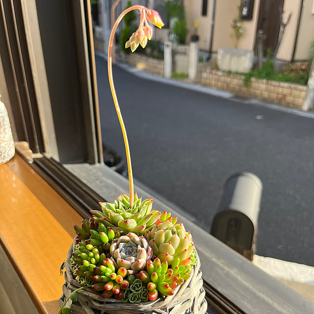 reonさんの部屋