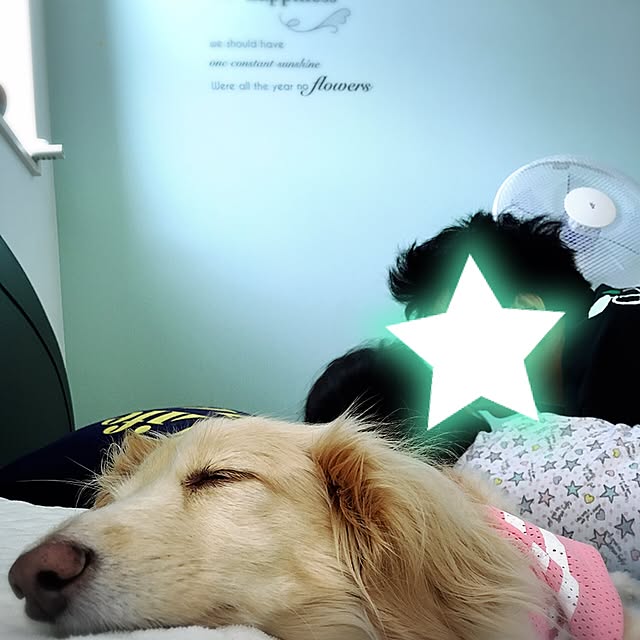 Erinさんの実例写真