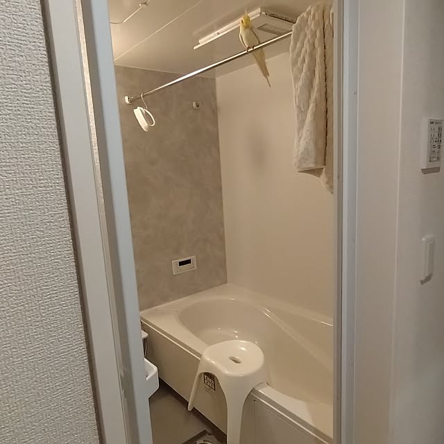 toratanさんの実例写真