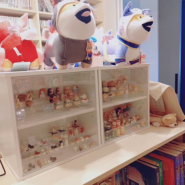 sakuraさんの部屋