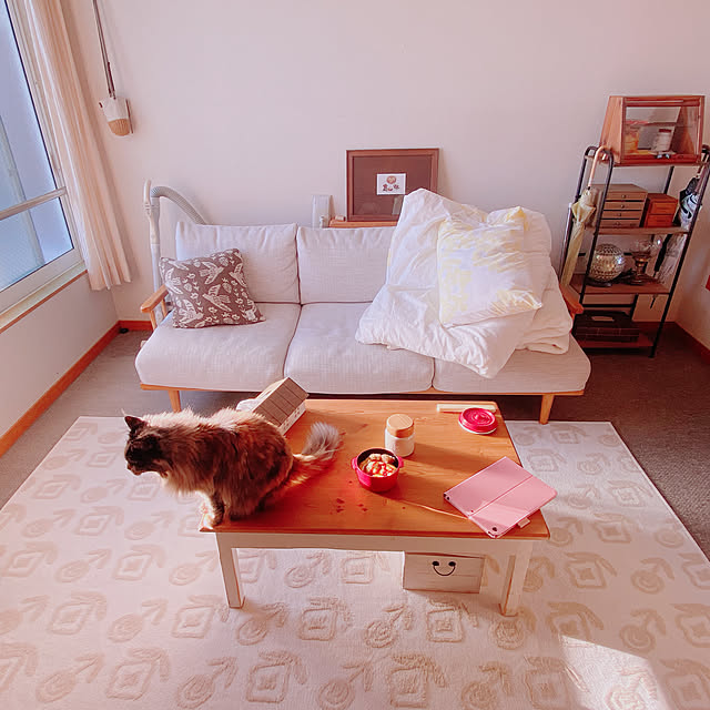 privateroomさんの実例写真