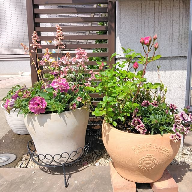 mii-sanさんの部屋
