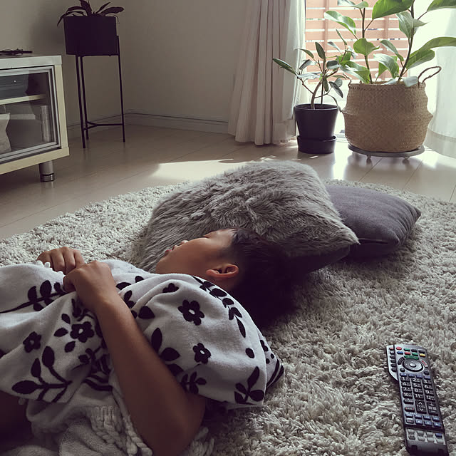 10002さんの実例写真