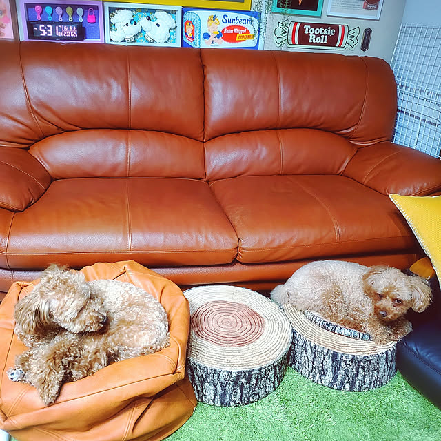 cherrycherryさんの実例写真