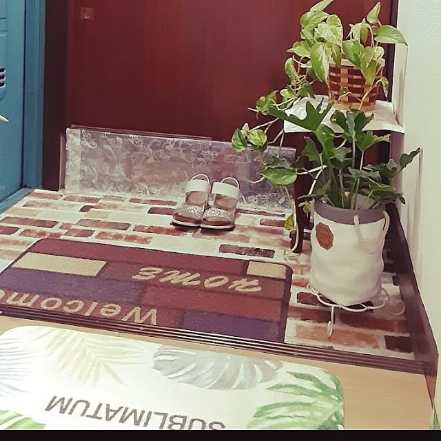 玄関/入り口/観葉植物/100均/ダイソー/リメイクシート...などのインテリア実例 - 2022-03-29 22:12:45